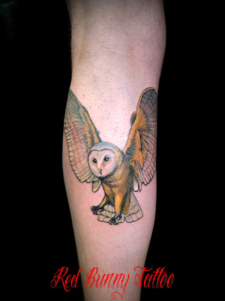 ӂ낤@@^gD[fUC owl tattoo