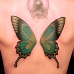 蝶 butterfly　　（刺青 タトゥー tattoo　画像 デザイン)