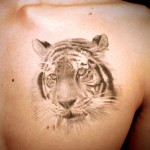 トラ tiger　   （刺青  タトゥー tattoo　画像 デザイン)