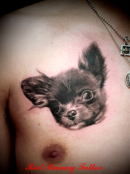 tattoo dog  タトゥー