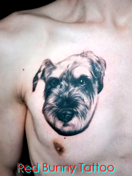 犬のポートレートタトゥーデザイン　ペット・動物・胸・dog tattoo