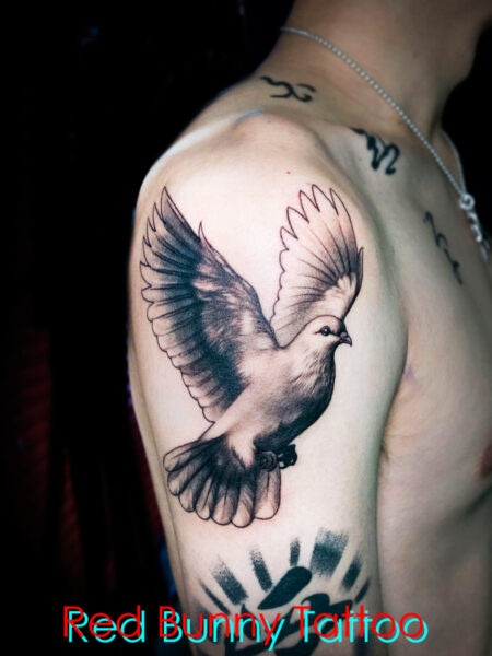 鳥・鳩のタトゥイーデザイン　pigeon dove tattoo