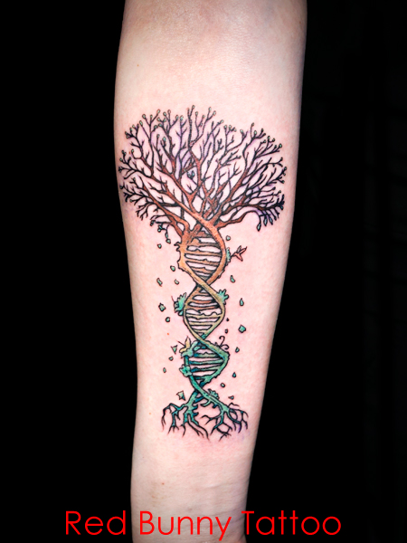 dna̖ ^gD[fUC@