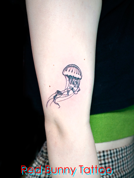 NQ@|Cg^gD[fUC@
