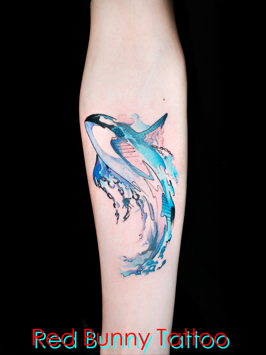 V`@^gD[fUC@ʁ@CJ@orca tattoo
